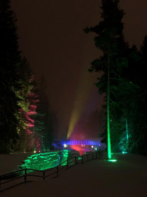 Kuvituskuva. Kuvassa valaistuja puita pimeässä.