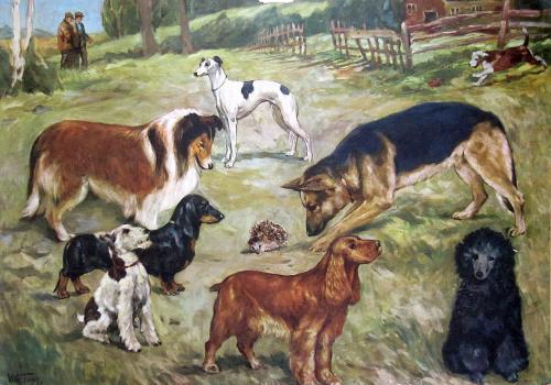 Kuvassa on vanha opetustaulu, jossa koiria.