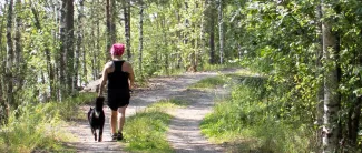 Nainen ulkoiluttaa koiraa luontopolulla.