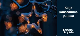 Kulje kanssamme jouluun, kuvassa valotähti oksalla ja lunta