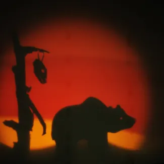 Kuvassa on varjoteos karhusta.